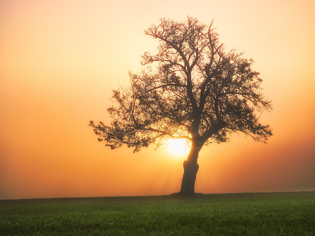 İş Uyumu ve Astroloji Hangi Burçlar Birbirine Uygun İş Ortaklarıdır?